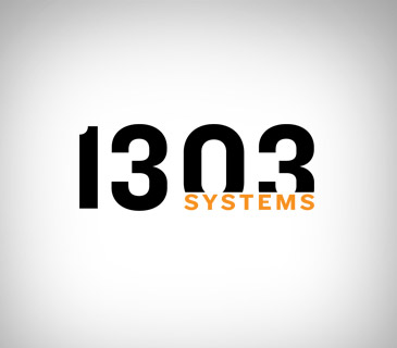 1303系统